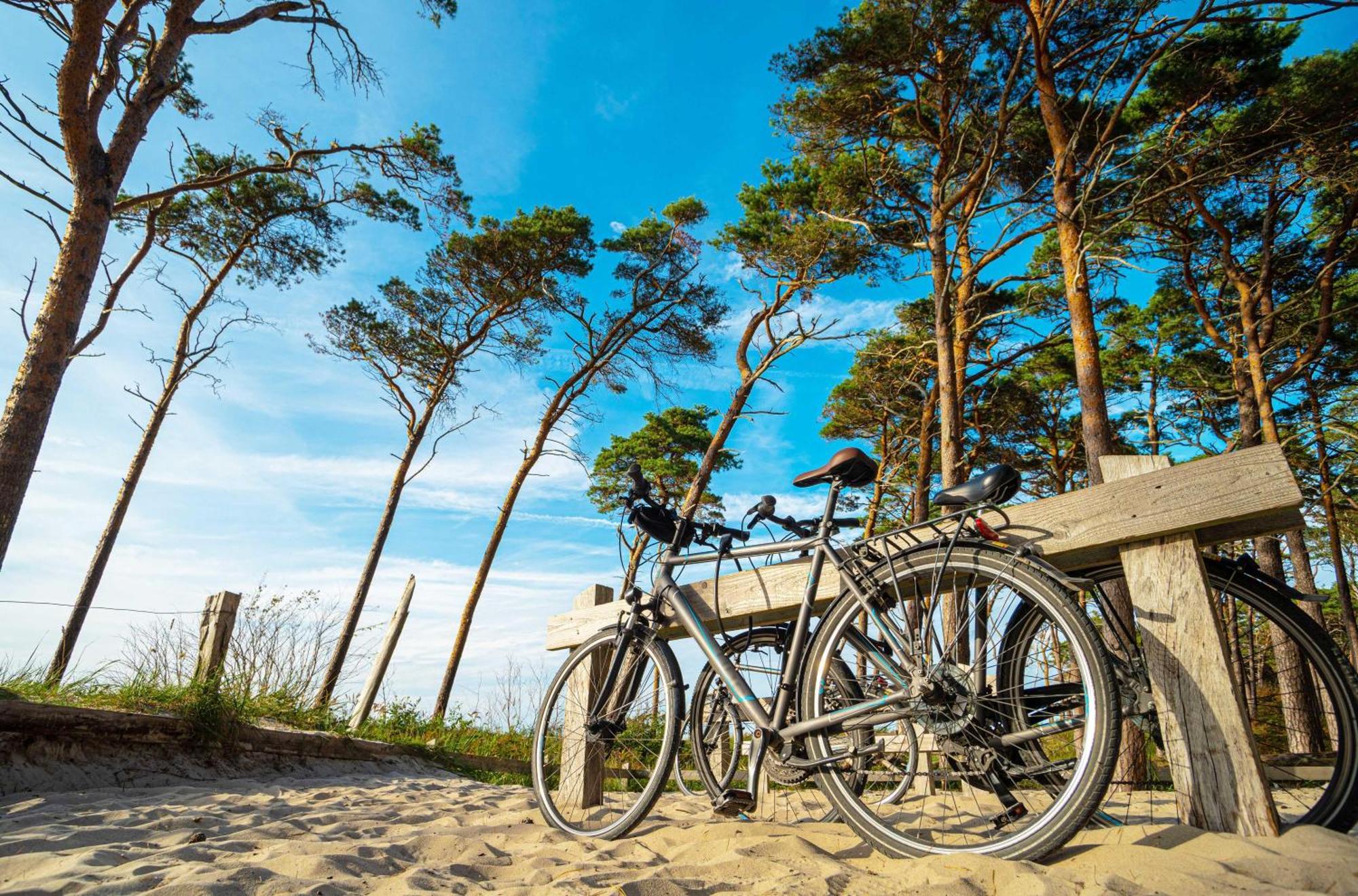 Apartment Heymat An Der Seebruecke Zingst Luaran gambar